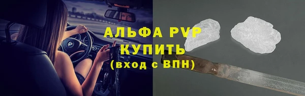 СК Белокуриха